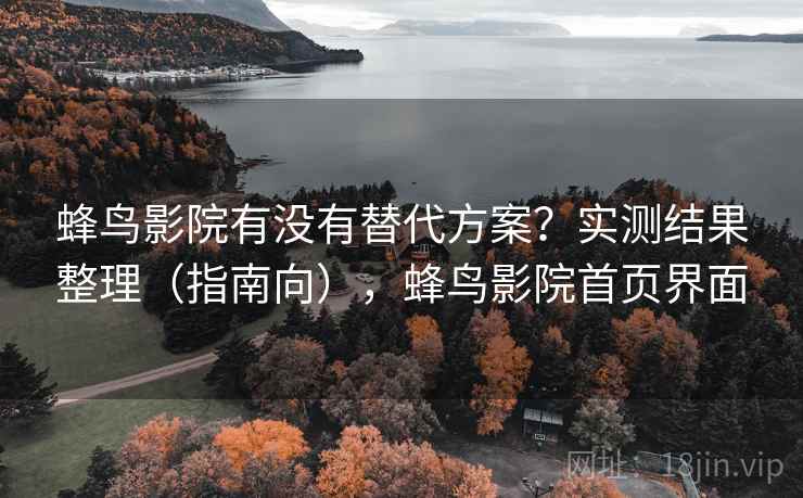 蜂鸟影院有没有替代方案？实测结果整理（指南向），蜂鸟影院首页界面
