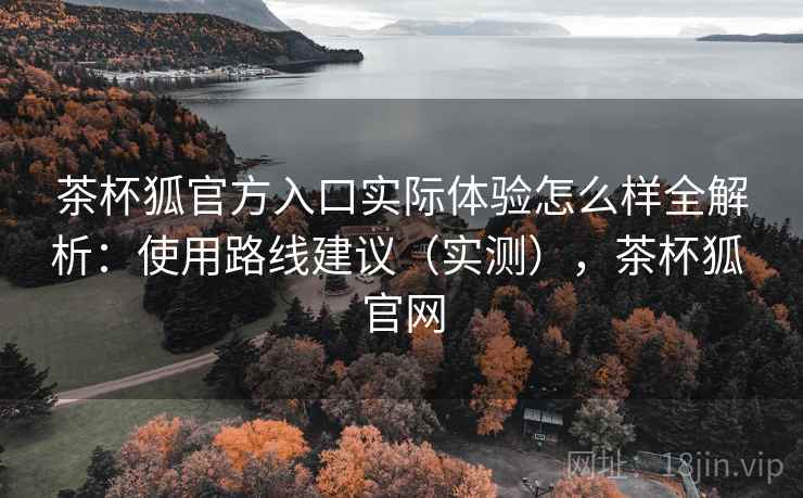 茶杯狐官方入口实际体验怎么样全解析：使用路线建议（实测），茶杯狐 官网