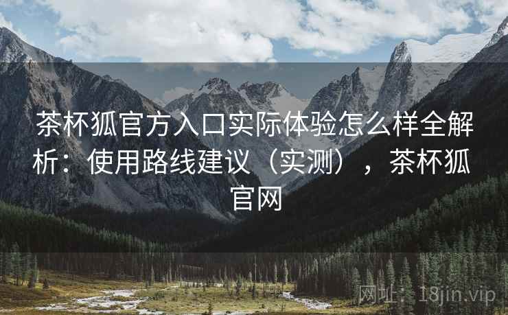 茶杯狐官方入口实际体验怎么样全解析：使用路线建议（实测），茶杯狐 官网