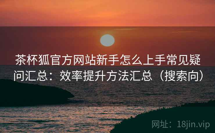 茶杯狐官方网站新手怎么上手常见疑问汇总：效率提升方法汇总（搜索向）