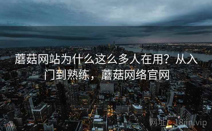 蘑菇网站为什么这么多人在用？从入门到熟练，蘑菇网络官网