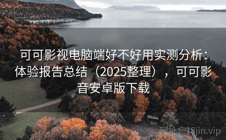 可可影视电脑端好不好用实测分析：体验报告总结（2025整理），可可影音安卓版下载